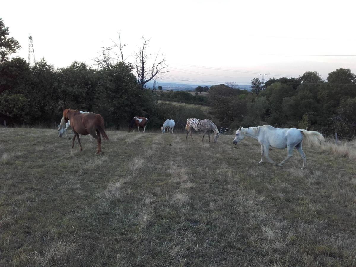 Gite De Prejeurin Echalas Exterior foto