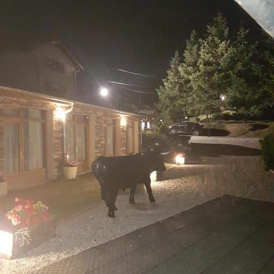 Gite De Prejeurin Echalas Exterior foto